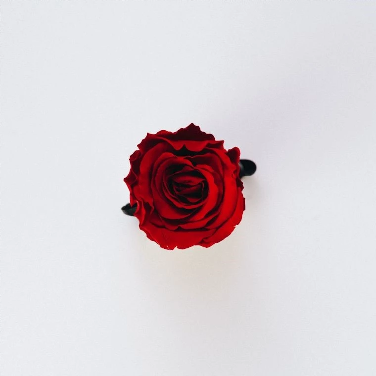 Roses are red, violets are blue, does your workplace relationship policy cover you?