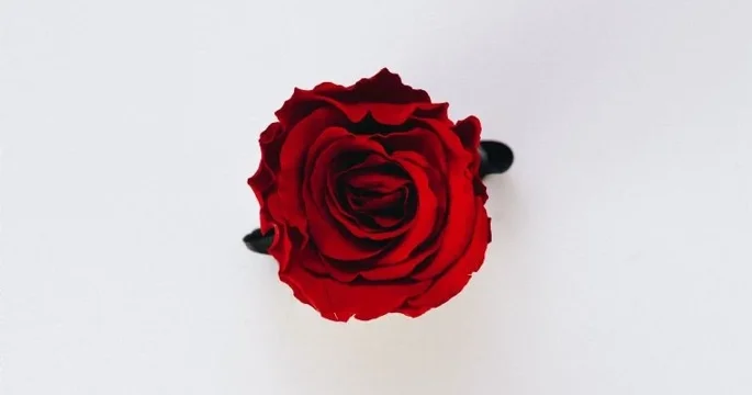 Roses are red, violets are blue, does your workplace relationship policy cover you?